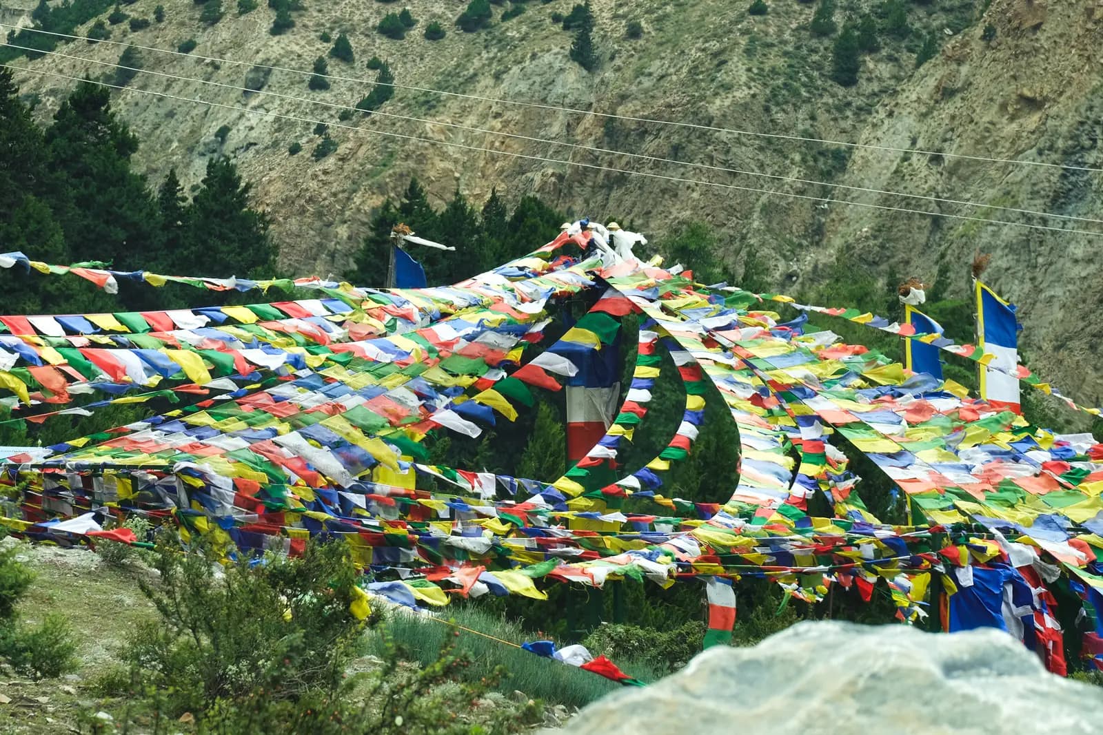 Prayer flags strung across an open hillside